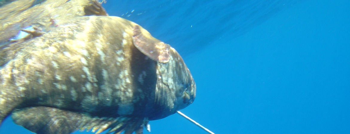Όταν η γκρίνια... φέρνει γούρι!