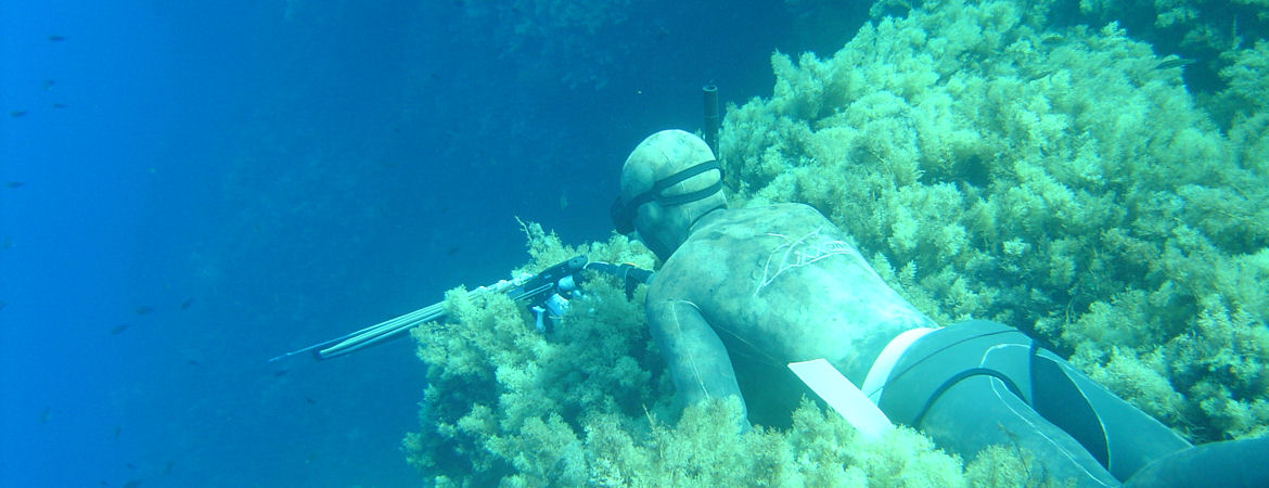 Ψαρότοποι Κρήτης - Αγία Πελαγία - Λυγαριά